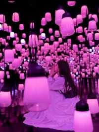 季節ごとに色が変わる💡ランプの森💡