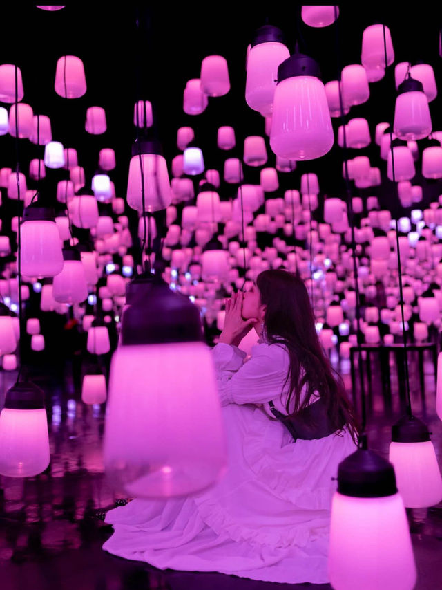 季節ごとに色が変わる💡ランプの森💡