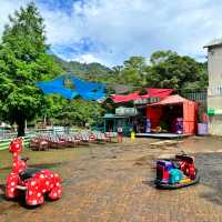 桃園富田農場｜小動物多小孩子玩得很開心