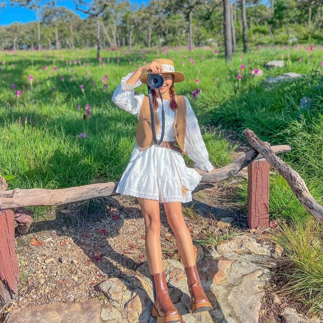 ชมธรรมชาติหน้าฝน ยลเสน่ห์ดอกกระเจียว🌷