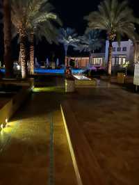 アラブ首長国連邦🇦🇪ドバイ🌴