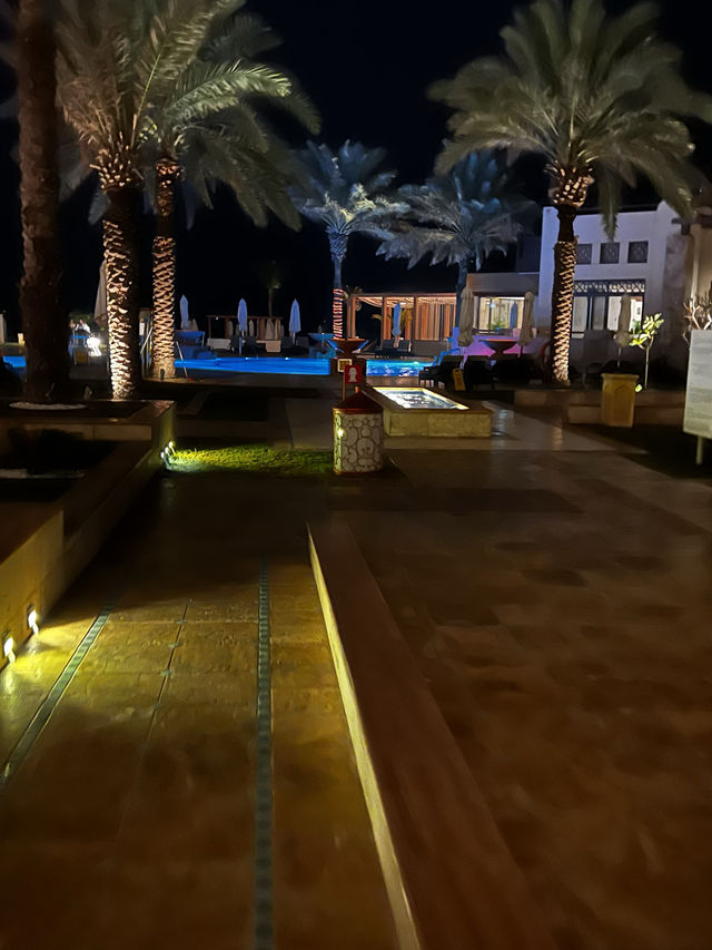 アラブ首長国連邦🇦🇪ドバイ🌴