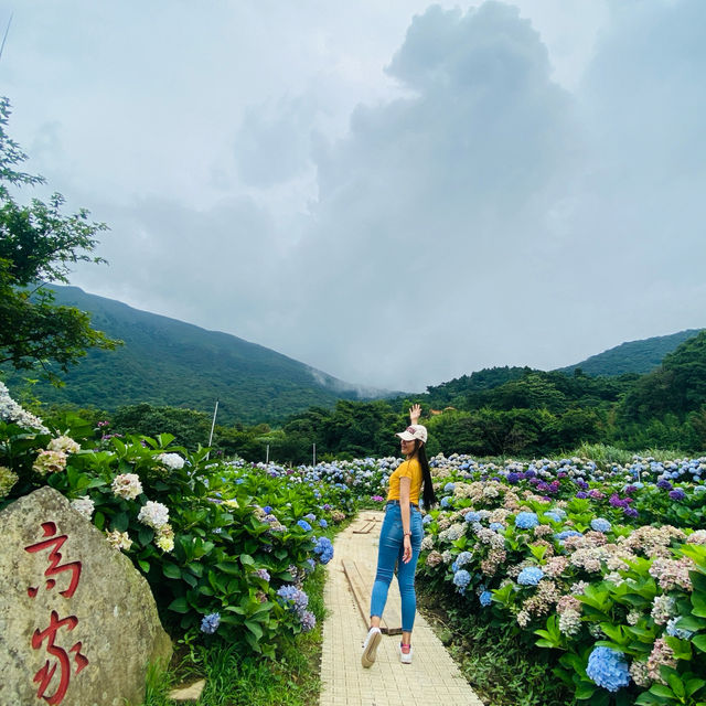 with beautiful flowers near the mountains❤️