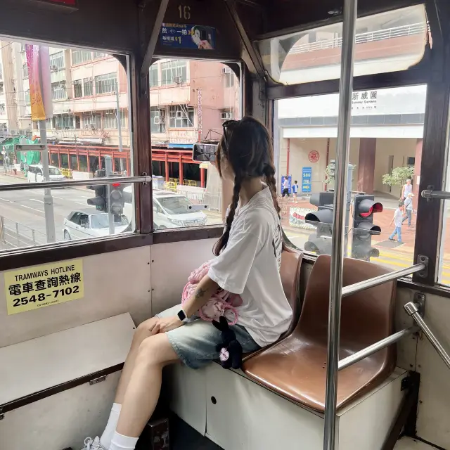 홍콩가서 이거 안탔다면 다시 홍콩 비행기 티켓 예매하세요✈️