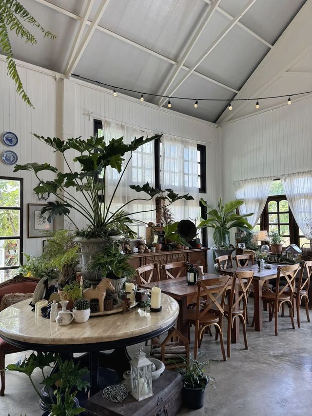Rice Field Home Farm Stay & Cafe 🌳🍃 