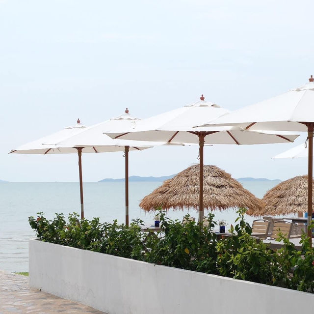 Sea of love pattaya