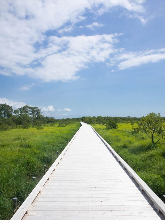 【北海道釧路市】おすすめスポット4選✨