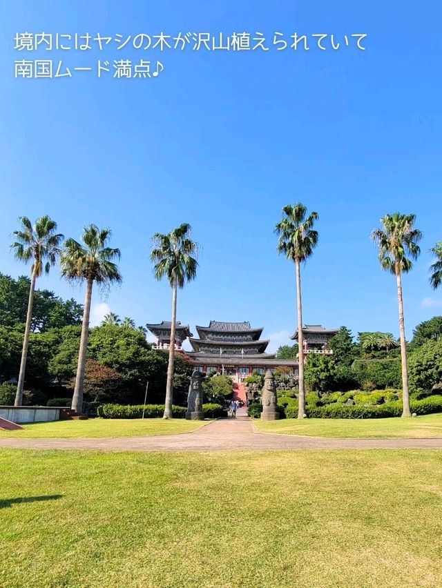 【韓国】 済州島の映え寺「薬泉寺(ヤッチョンサ)」