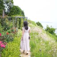 玫瑰花園超療癒！ 日本熱海人氣景點「ACAO FOREST