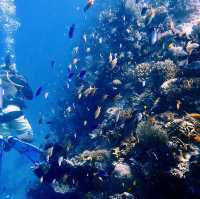  Diving Adventure at Mataking Island: Exploring Underwater Wonders