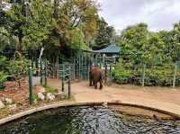Perth Zoo
