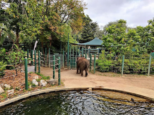 Perth Zoo