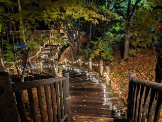 Night Visit to Fairy Cabins in Hokkaido: Forest Fairy Terrace