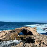 Island Oasis: Rottnest Island Getaway
