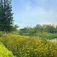 📍🌳 สวนหลวง ร.9 (MRT หัวหมาก สายสีเหลือง)