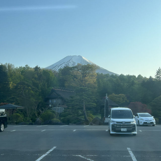 도쿄 근교여행 가볼만한 곳, 시즈오카 👍🏻