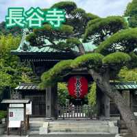 【神奈川/鎌倉】まさに和の空間「長谷寺」