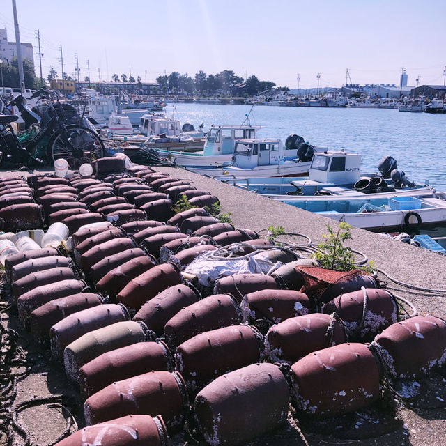 【愛知🇯🇵】多幸なタコがお出迎え🐙離島で夏満喫！