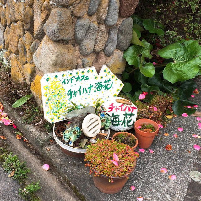 【豊後高田】インドそのままの味を守り続けている絶品カレー✨