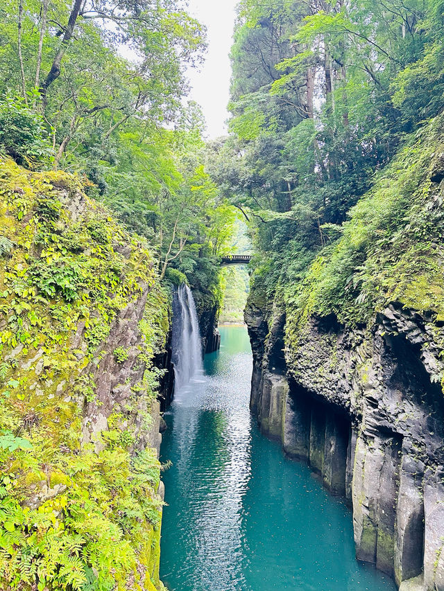 🇯🇵 北九州高千穗 一日自駕遊攻略 🌳大自然之旅⛰️