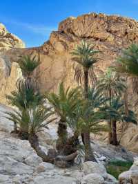 🌴 Discover the Enchanting Chebika Oasis in Tunisia 🇹🇳 