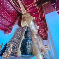 วัดป่าโมกวรวิหาร