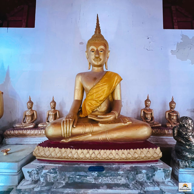 วัดป่าโมกวรวิหาร