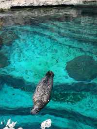 Review 🐠 อควาเรียมที่ตั้งอยู่ภายใน Ocean Park