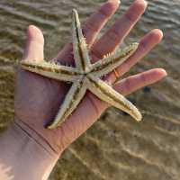 Guimaras - my de stressing place!