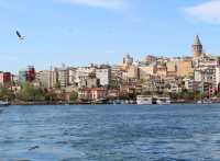A fantastic Cruise experience