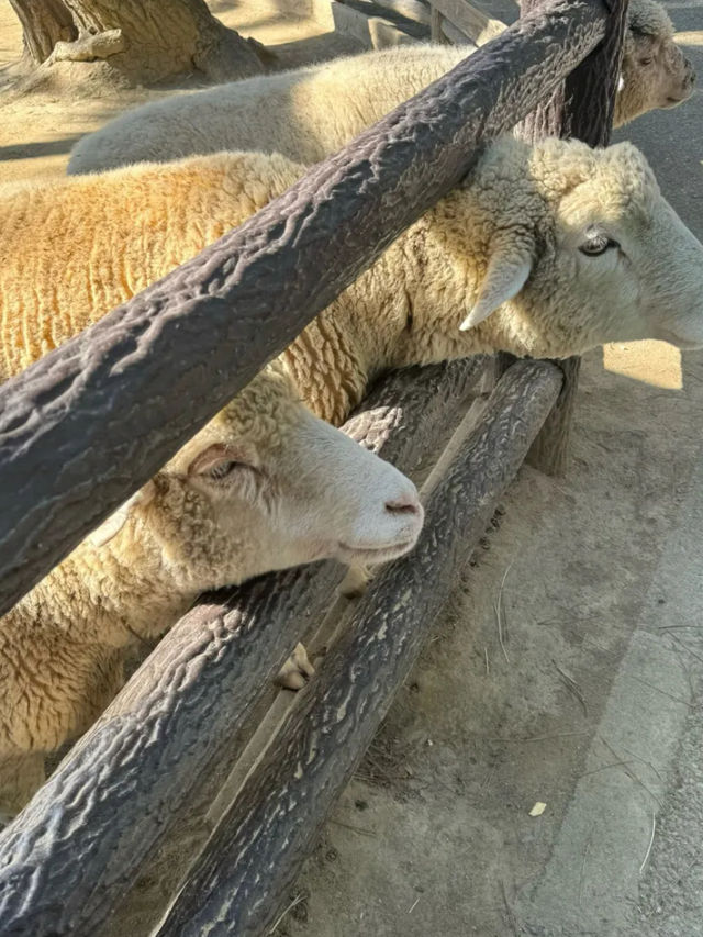海之中道海濱公園 