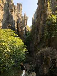 Exploring the Stone Forest in Kunming, Yunnan 🇨🇳