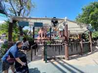Fun rides and shows at Universal Studios