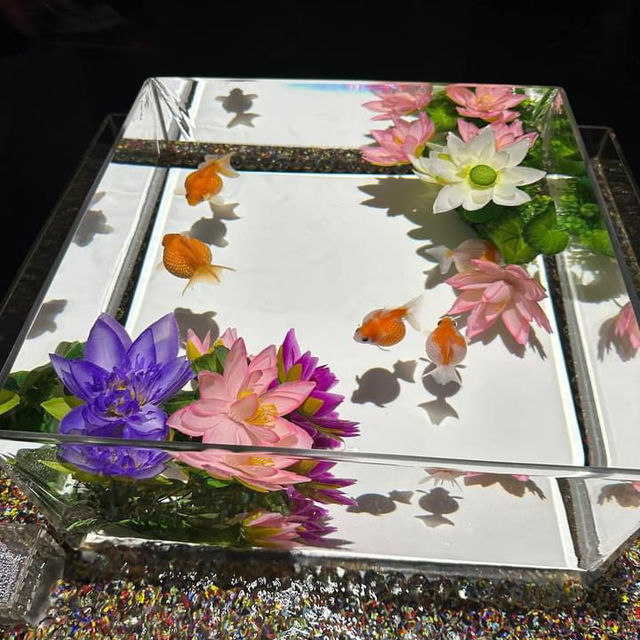 A Mesmerizing Experience at Art Aquarium Museum Ginza