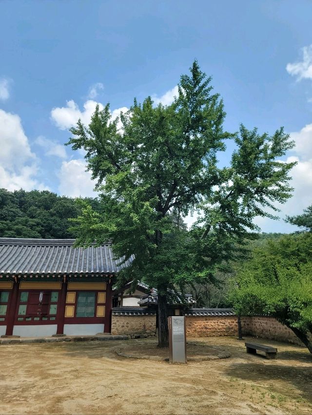 장성여행필수코스 유네스코문화유산 필암서원🧡