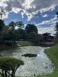 宇治最大景點🙆🏻‍♀️平等院😎特色古典日本風情😍