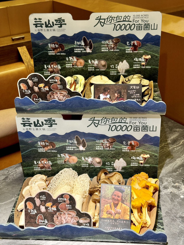 食菌季節到啦！🍄😋 雲南野生菌火鍋，正呀！