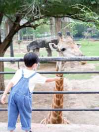 สวนสัตว์เปิดเขาเขียว จ.ชลบุรี 🦒🐘🌳 
