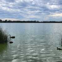 Birdwatcher’s Paradise in the Heart of the City