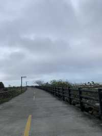 🚴‍♂️ 新竹十七公里海岸線 - 絶景と自然が楽しめるサイクリングロード*🚴‍♀️