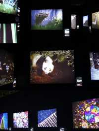 中國國家地理 • 探索科學藝術影像展