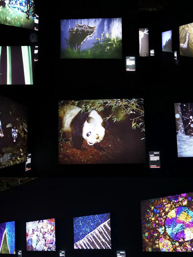中國國家地理 • 探索科學藝術影像展