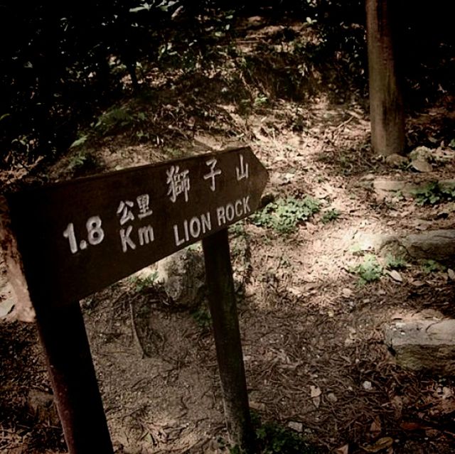 🏞️ 獅子山郊遊體驗★自然與夜景之美