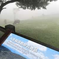［台北］在雲端漫步的陽明山公園