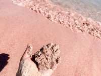 Pink Beach อุทยานแห่งชาติหมู่เกาะ Komodo