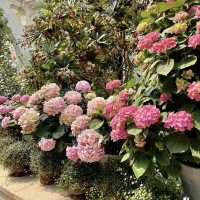 【韓国】約31000種類の植物が見られるソウル植物園🪴