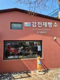 Colourful Gamcheon Cultural Village 🇰🇷