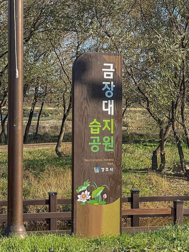 경주 사진 찍기 좋은 이색 포토존 ’금장대 나룻배‘