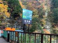 黒部峡谷トロッコ列車