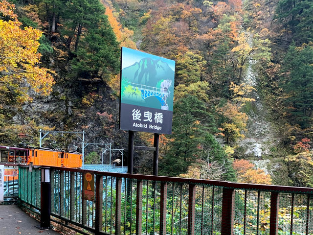 黒部峡谷トロッコ列車 黒部峡谷トロッコ列車